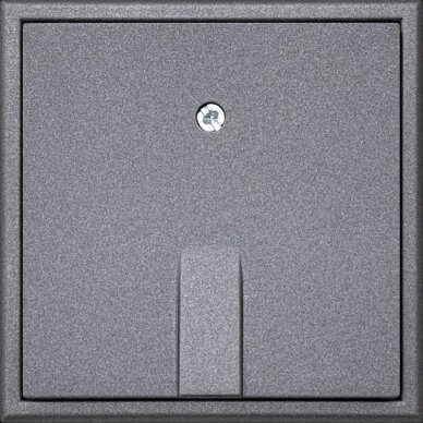 Dangtelis kabelio išvedimui MODERN su tvirtinimo elementu, be rėmelio 4